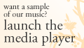 Launch the media player